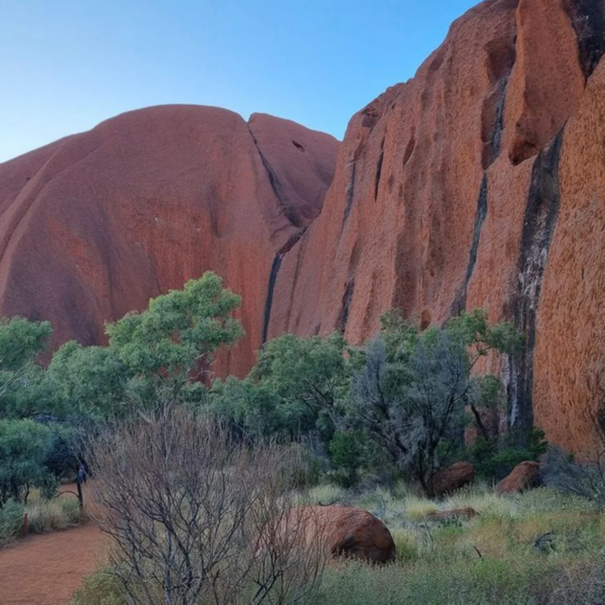 Alice Springs to Uluru tour