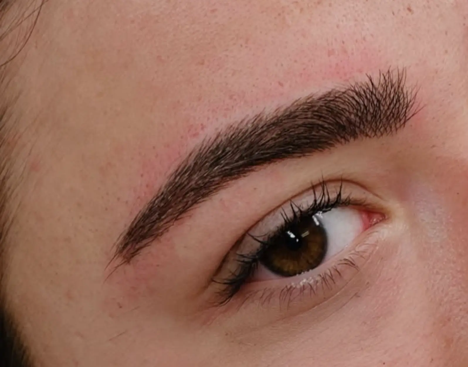 eyebrows tattoo cost near me