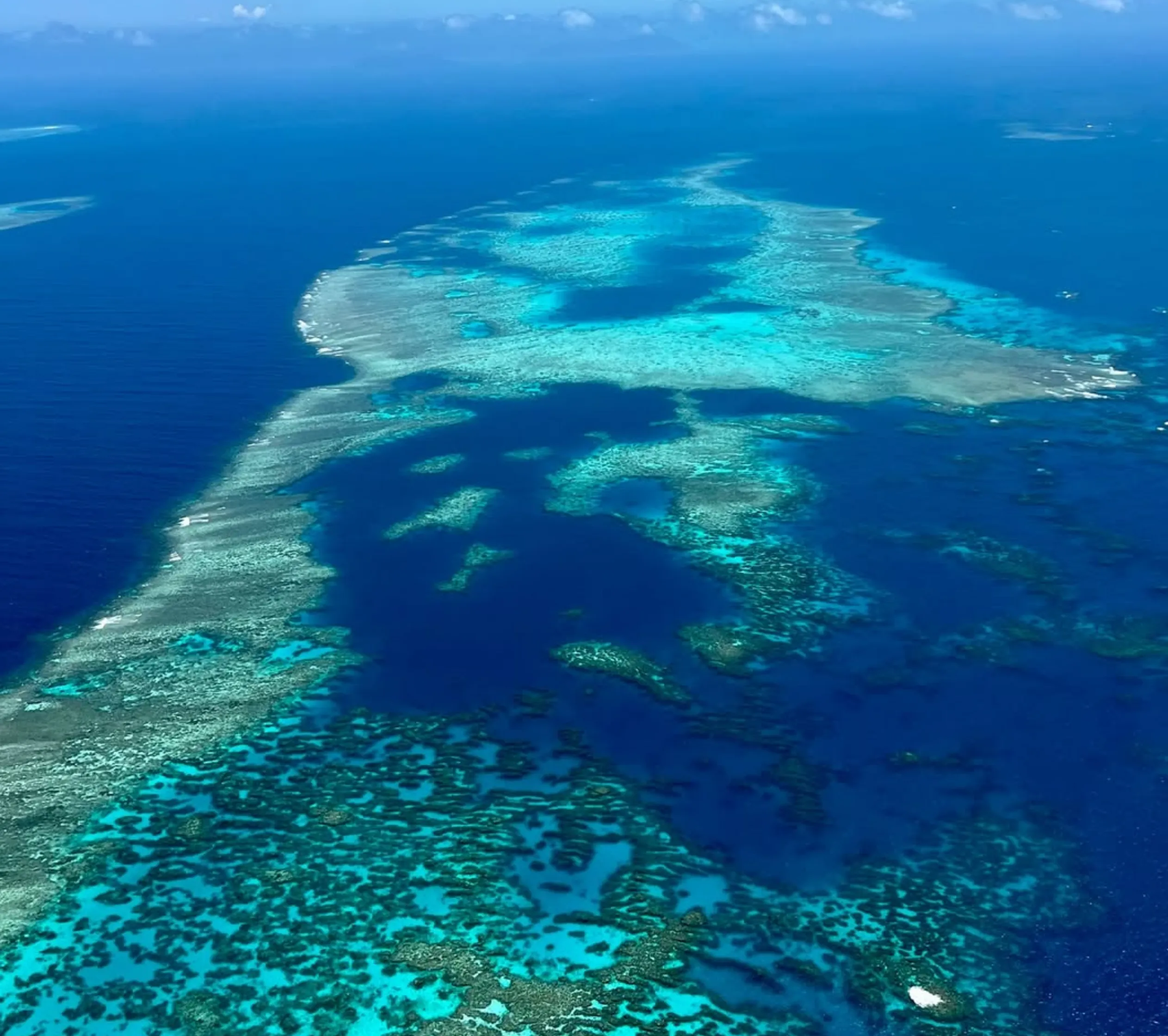 best reef tour for clear water